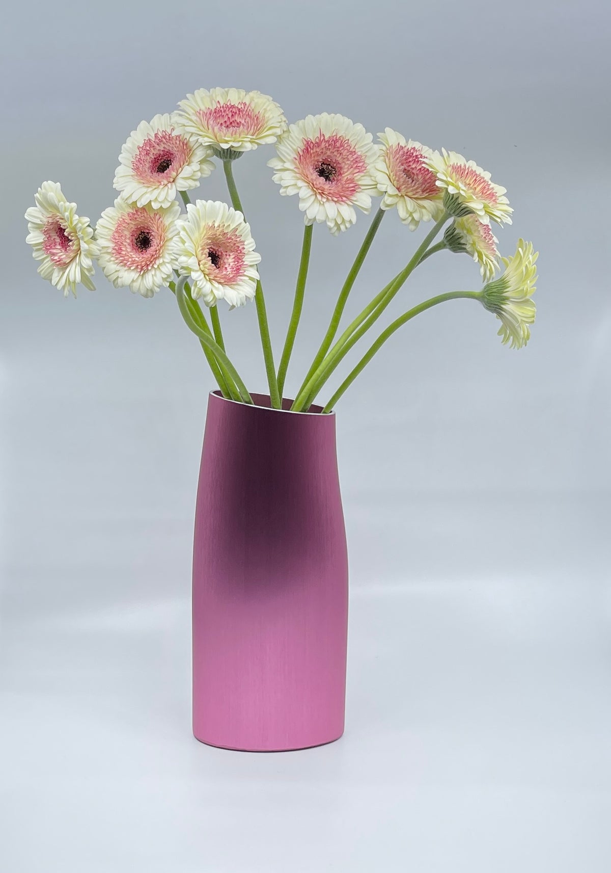 The Vase in Pale Pink