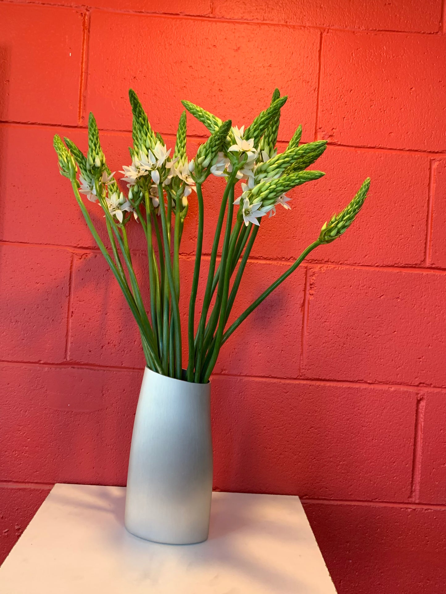 The Vase in Silver