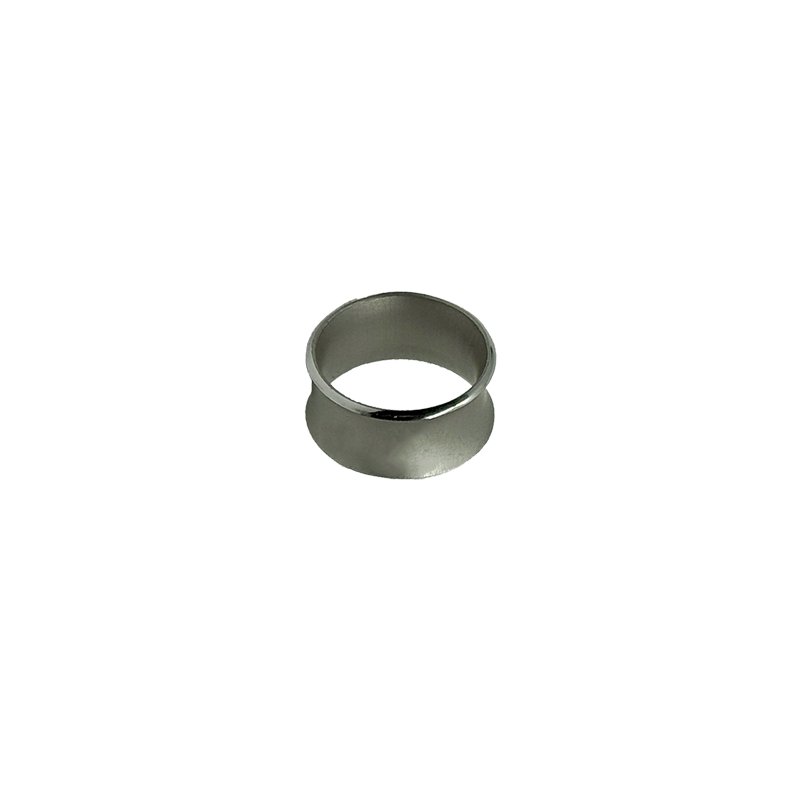 The Ring in Silver